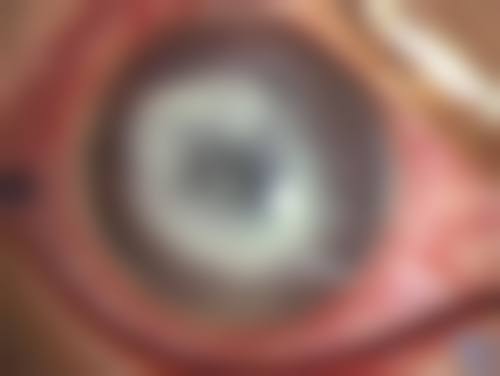 诊疗特色总结