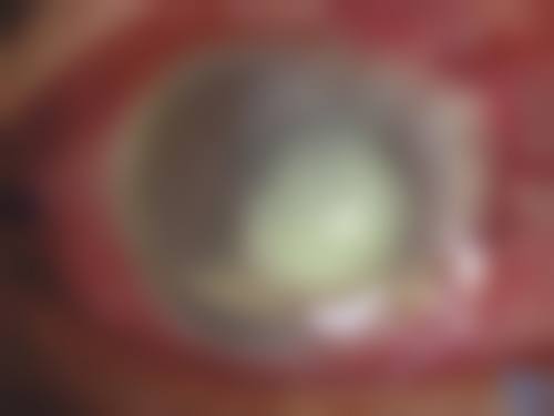 诊疗特色总结