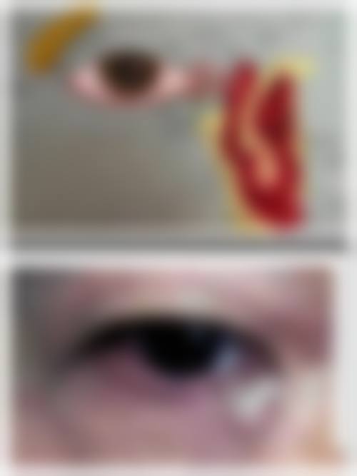 结尾预约号召