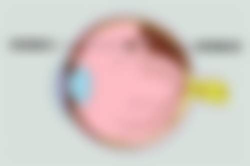苏州大学附属第一医院眼科