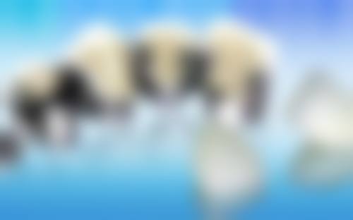 朔州颐美口腔医院口碑评价