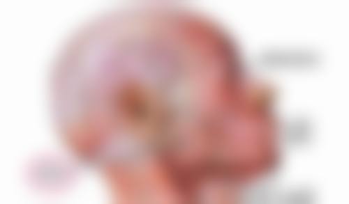 韓國整形中介推薦香港2026：邊間最靠譜？醫生/品牌真實評價+避坑攻略大公開