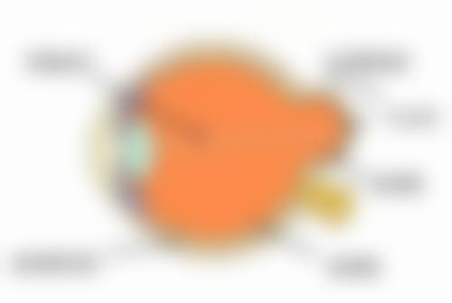 2、预约挂号指南